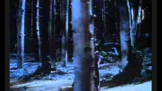 Kate Bush - Somewhere In Between (Fan Video)