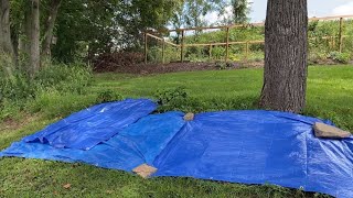 Prepping a New Garden Spaces With Tarps | No Till | EverCrest
