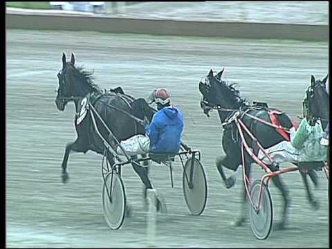 Trotto 25/11/2016 - 2ª corsa