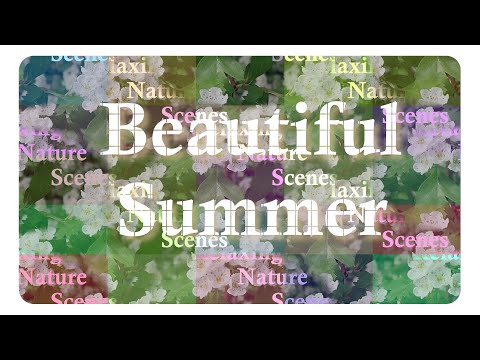 🌿 Relaxing Nature Scenes - Velimir Andreev - Beautiful Summer - Energetic Inspirational Pop Upbeat