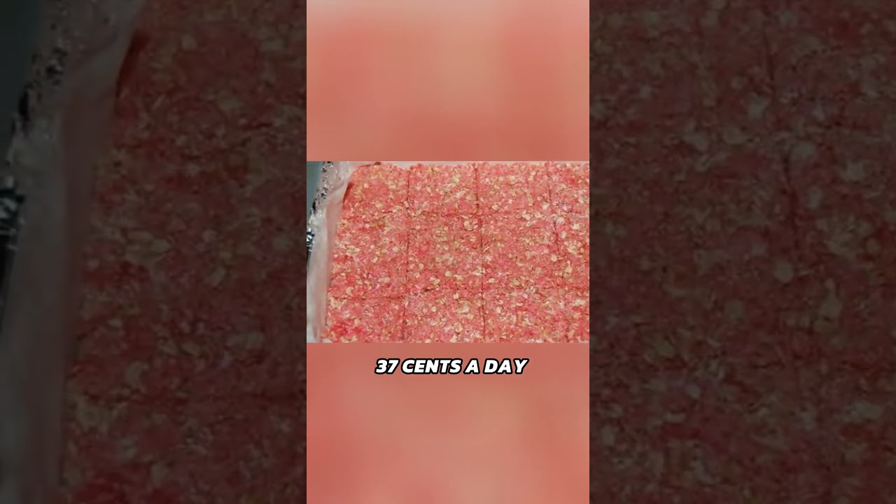 🍞 The Lost SuperFoods – Discover How to Store & Cook Food That Lasts for Decades