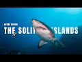Scuba Diving The Incredible Solitary Islands | Coffs Harbour
