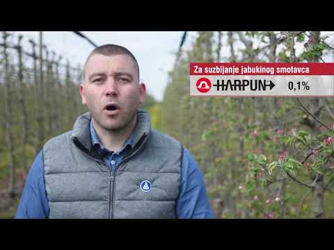 Saveti za suzbijanje kruskine buve, Galenika fitofarmacija - U nasem ataru 889