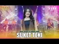 DINDA TERATU SUKET TEKI I Mahesa Music