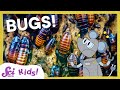 Respect the Insect! | SciShow Kids Compilation