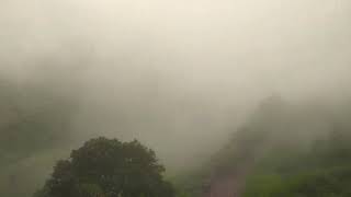 preview picture of video 'Kodikuthimala eco tourism mist'
