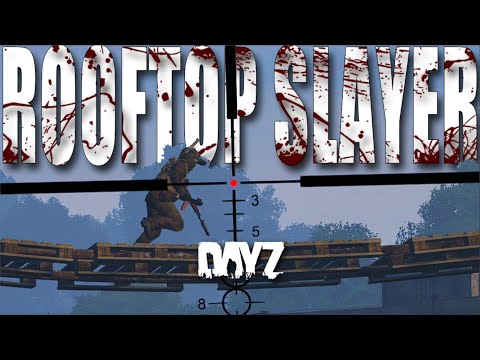 ROOFTOP SLAYER | DAYZ ESSEKER