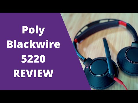 Ausinės su mikrofonu Poly C3220 video