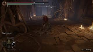 【ELDEN RING】こちらが典礼街オルディナの正解です【8周目】