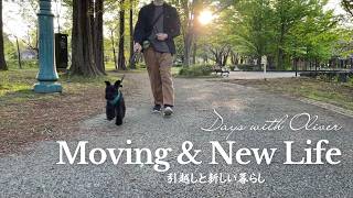 Moving & New Life 引っ越しと犬との暮らしのはじまり
