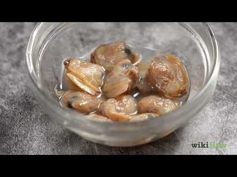 How to Store Clams So They Stay Fresh: Live & Shucked