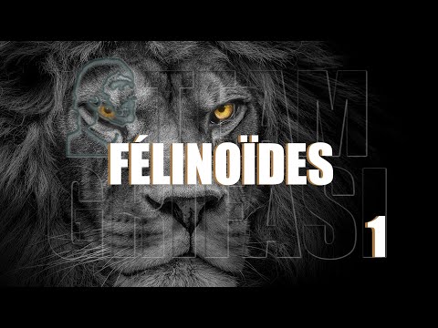 685-FR, Laetitia C177º P1° : FÉLINOÏDES - Opératrice externe Maryline Petigas Méthode Grifasi