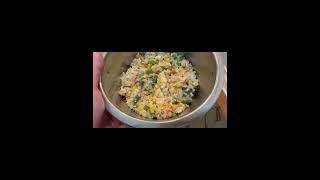 FARMER’S DOG gourmet DOG FOOD knock off, for your Cruise Fur Babies