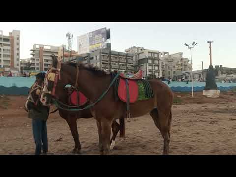 Visakhapatnam Beach🏖
