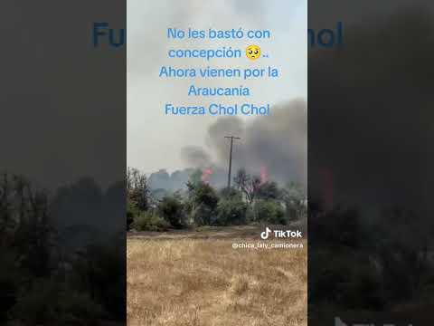 INCENDIOS EN CHOL CHOL EN LA ARAUCANIA ...