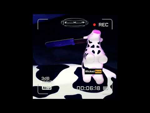 ExperiMental - ExperiMental - Wicked Note [FULL SINGLE] (2022)