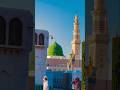 Hassan Ullah Hussaini Koi Duniya E Ata Mein Beautiful Naat