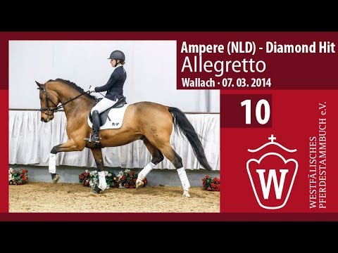 10 Allegretto Wallach v. Ampere (NLD) - Diamond Hit