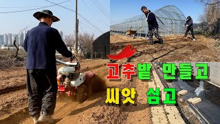 고추밭 만들고 씨앗 심고#점적관수#점적테잎#점적호스#파종#씨앗