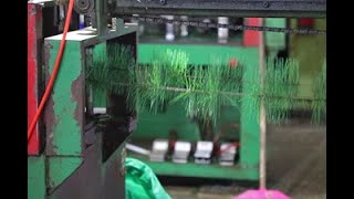 How are Artificial Christmas Trees Made? | Co-Arts Innovation