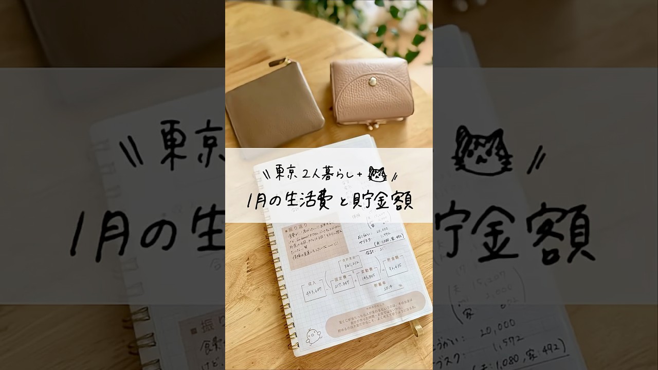 東京二人暮らしの生活費 #節約 #貯金