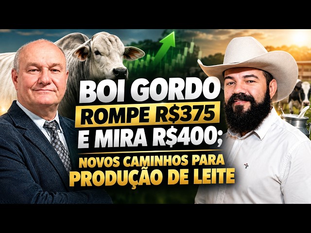 Boi Gordo Rompe R$375 e Mira R$400; Novos Caminhos Para Produção de Leite.
