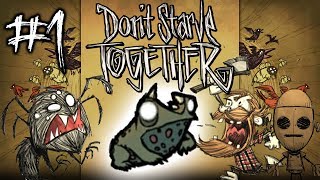 dont starve together robot dont starve together robot