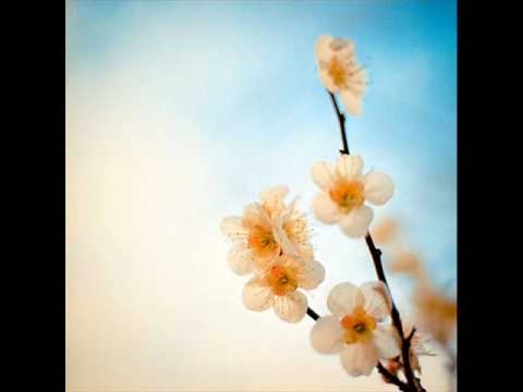 Tassnata-Remember (feat. Promise, Black Milk, Liya)