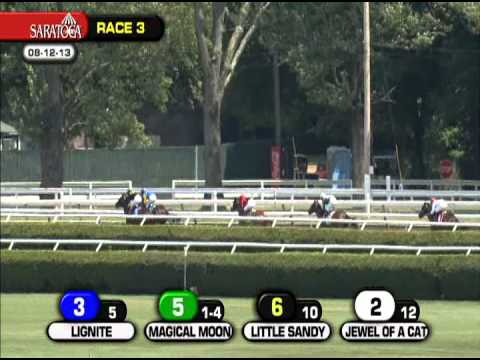 Jewel of a Cat - 2013 Coronation Cup S.