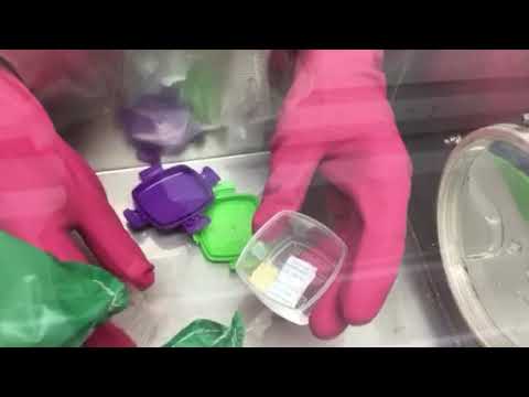 Bee Venom Collector BeeWhisper- nitrogen transfer-New Zealand - www.extractandbox.com