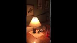 A Little Tour of Sleepy Forest Cabin(Mike & Joleen Gross)