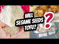 Will SESAME Tofu Mary S Test Kitchen