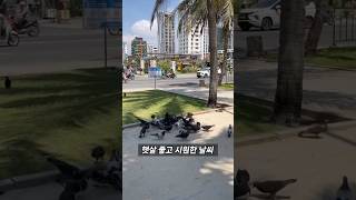 햇살 좋은 오늘, 다낭 바다로 떠나기 딱 좋아요!이제 밖으로 나가 새로운 하루를 즐겨보세요!