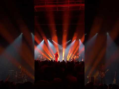 Ozark Henry - Rescue - Live AB Brussel - 20 Years BirthMarks