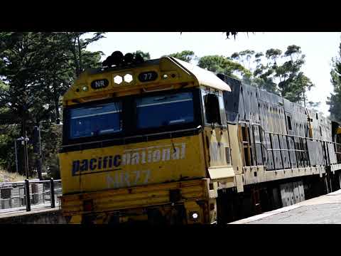 Freight Train (3MP5)