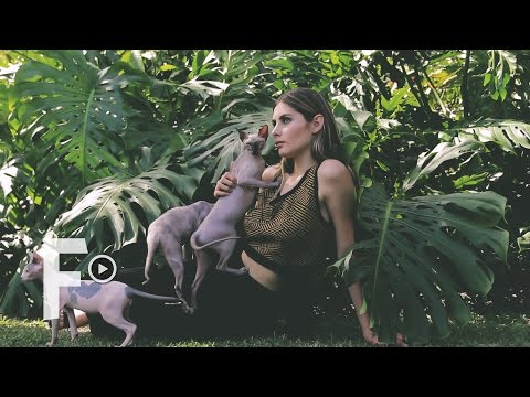 TEJIDOS Y CULTURA LATINA EN COLOMBIAMODA