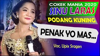 Download lagu Sinu laras terbaru 2020 Podang Kuning cokek sragenan JOS mp3 Download lagu Sinu laras terbaru 2020 Podang Kuning cokek sragenan JOS mp3
