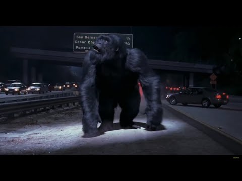 Mighty Joe Young police chase scene 