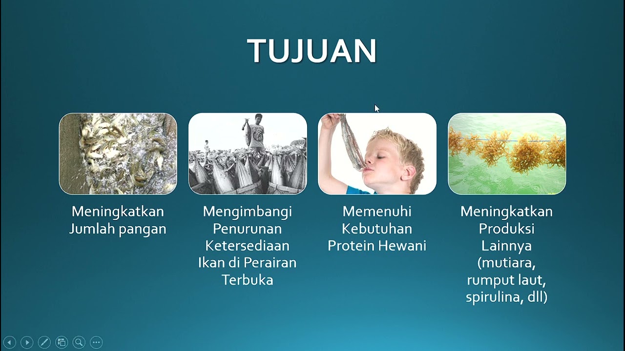 DASAR-DASAR BUDIDAYA PERIKANAN #1