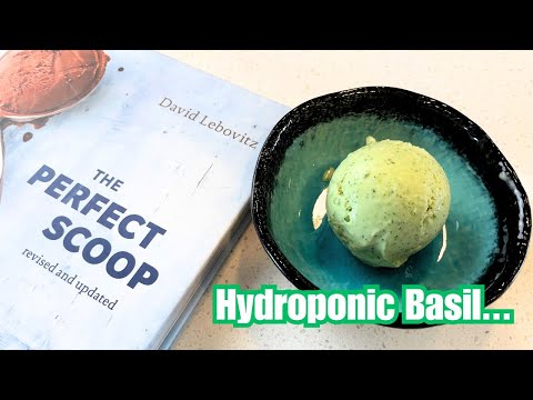 Basil Ice Cream Recipe from 'The Perfect Scoop'