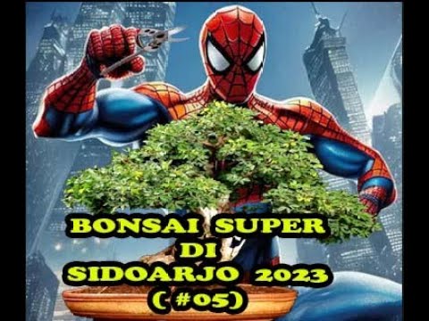 BONSAI SUPER SIDOARJO (2023) #5
