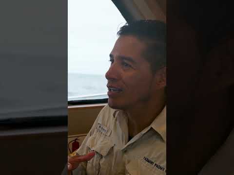 Yazmany: Galapagos Islands Guide, Hermes & Monseratt Galapagos Cruises #Shorts