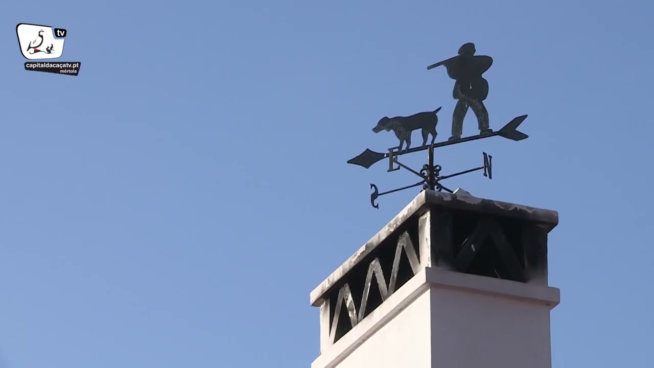 Zona de Caça Monte do Alhinho