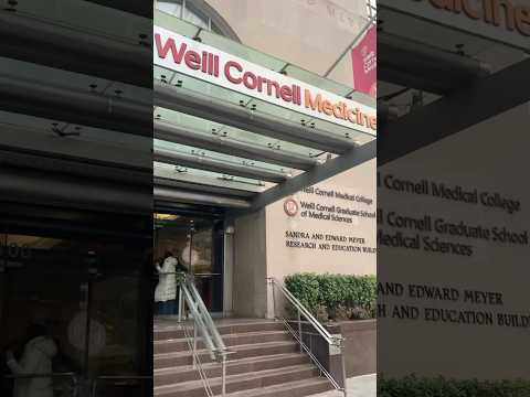 NYC MISS 2024 Highlights