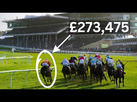 7 Cheltenham Festival Gambles That Beat the Bookies