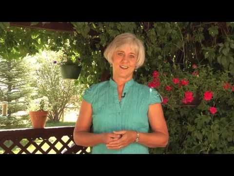 LeAnn Thieman, Professional Speaker, Author