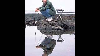 'Walking Green Algae Blues' - Beaver & Krause 'In a Wild Sanctuary' 1970