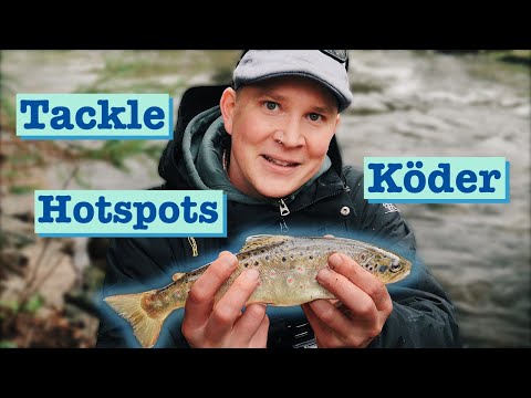 How to fish for brown trout in your stream using a spinning rod