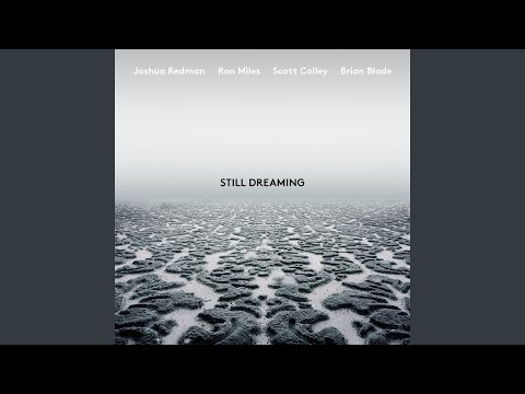 New Year (feat. Ron Miles, Scott Colley & Brian Blade)