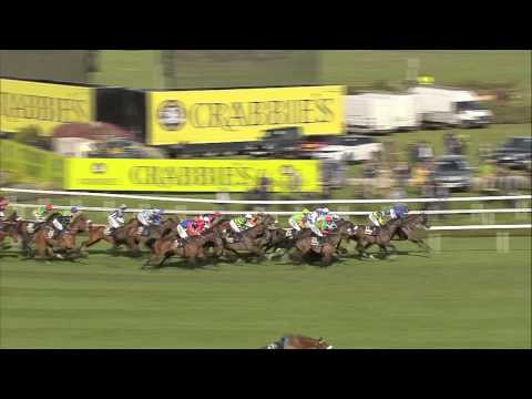 2015 Crabbie's Grand National - Many Clouds - Racing UK
